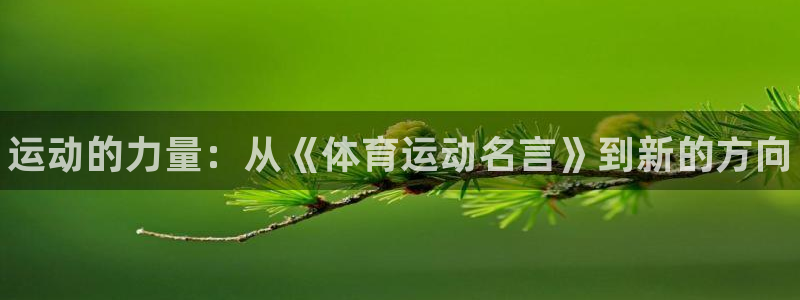 一竞技官方正版app神州：运动的力量：从《体育运动名