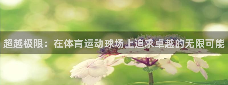 一竞技官网下载平台注册流程视频：超越极限：在体育运动