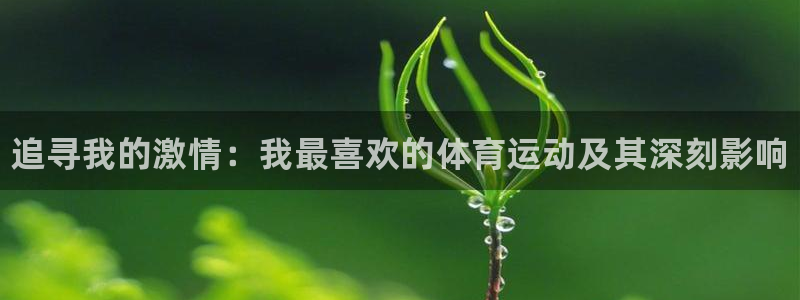 一竞技官网下载招商电话号码查询是多少：追寻我的激情：我最喜欢