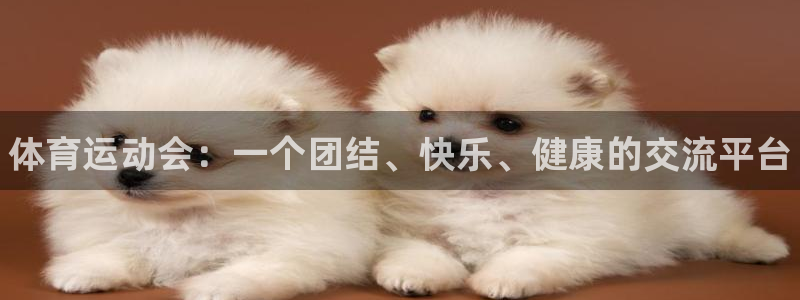 一竞技官网下载平台注册流程视频：体育运动会：一个团结