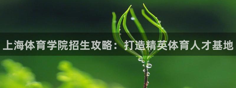 一竞技官网下载平台注册：上海体育学院招生攻略：打造精英体育人