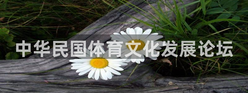 一竞技官方正版app集团E.ON：中华民国体育文化发展论坛