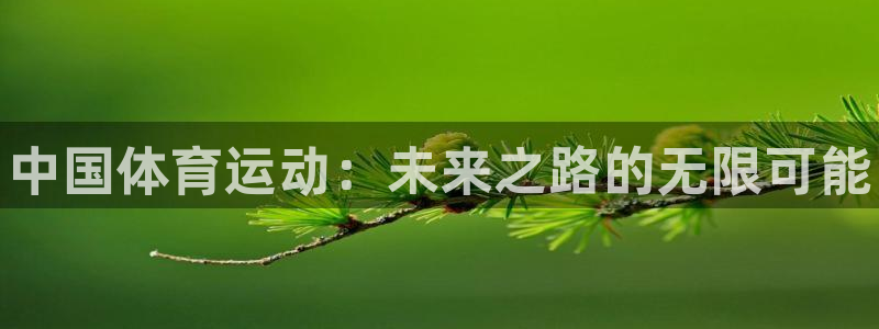 一竞技官方正版app娱乐平台：中国体育运动：未来之路的无限可
