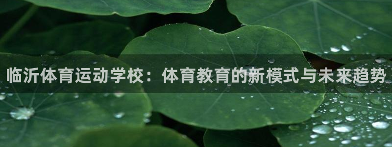 一竞技官方正版app集团：临沂体育运动学校：体育教育的新模式