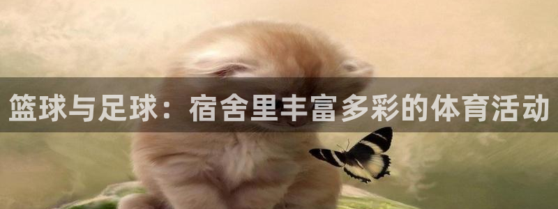 一竞技官网下载平台：篮球与足球：宿舍里丰富多彩的体育活动