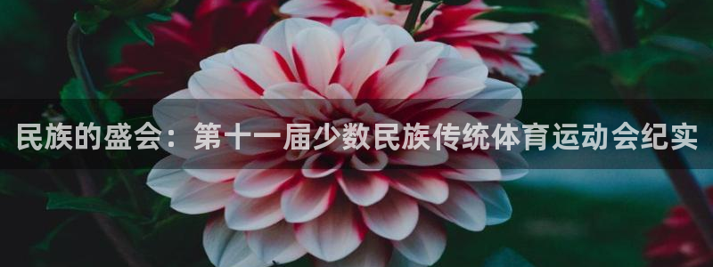 一竞技官网下载平台：民族的盛会：第十一届少数民族传统