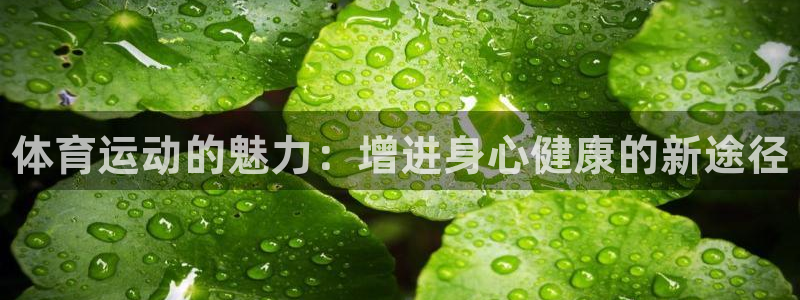 一竞技官网下载招商电话地址：体育运动的魅力：增进身心健康的新