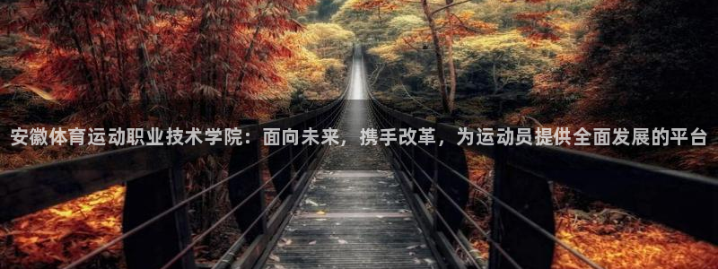德国一竞技官方正版app集团：安徽体育运动职业技术学院：面向