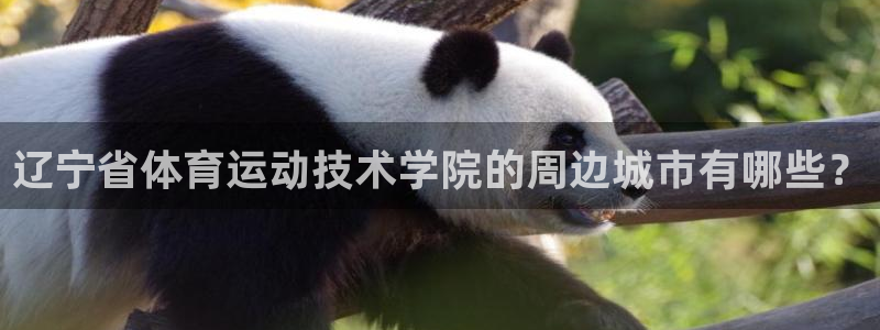 一竞技官网下载是干嘛的公司：辽宁省体育运动技术学院的周边城市