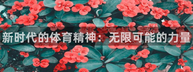 一竞技官方平台体育
