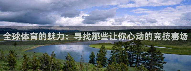 一竞技官方正版app新能源：全球体育的魅力：寻找那些让你心动