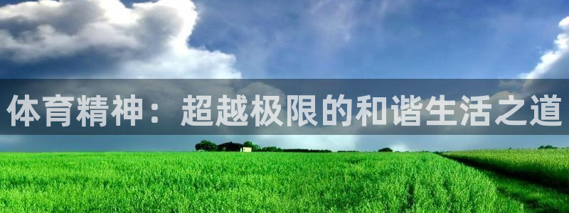 一竞技官方正版app集团官网网址：体育精神：超越极限的和谐生