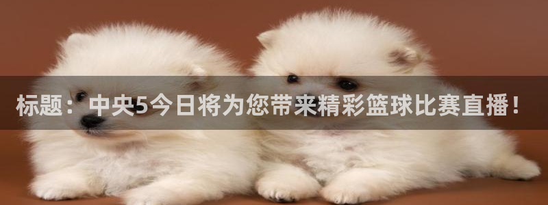 乐球免费直播吧：标题：中央5今日将为您带来精彩篮球比赛直播！