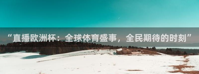 黑白体育直播吧：“直播欧洲杯：全球体育盛事，全民期待的时刻”