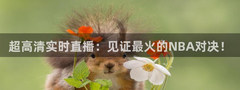 足球直播吧下载：超高清实时直播：见证最火的NBA对决！