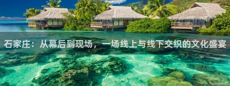 篮球98直播吧：石家庄：从幕后到现场，一场线上与线下交织的文化盛宴