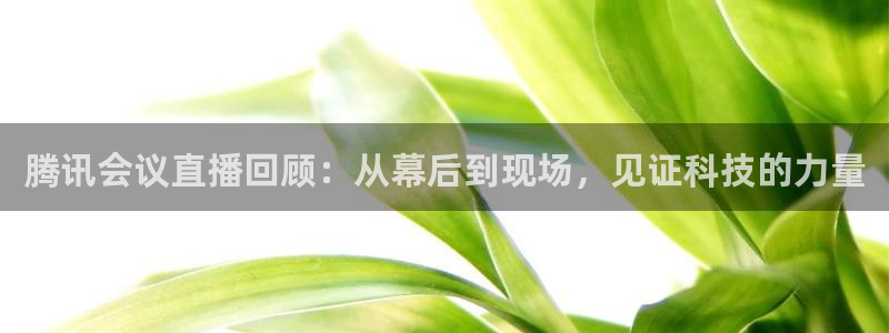五星体育直播吧：腾讯会议直播回顾：从幕后到现场，见证科技的力量