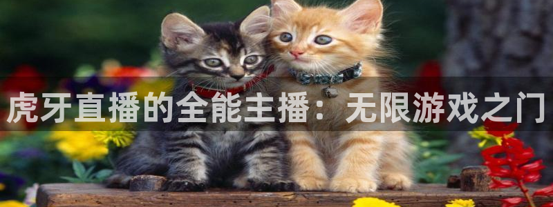 nba直播在线jrs直播吧：虎牙直播的全能主播：无限游戏之门