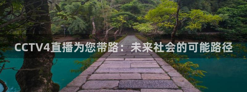 nba极速体育直播吧：CCTV4直播为您带路：未来社会的可能路径