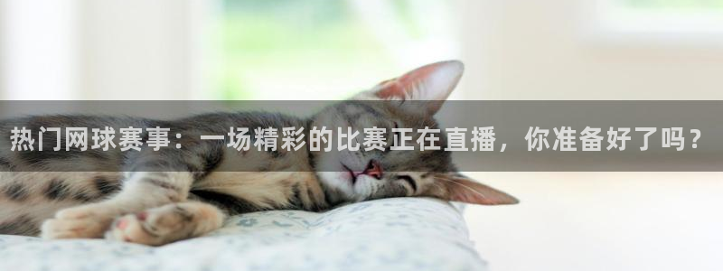 直播吧nba直播吧在线直播：热门网球赛事：一场精彩的比赛正在直播，你准备好了吗？