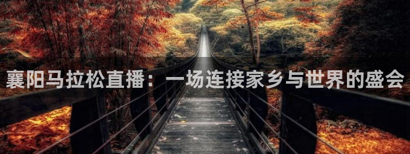 jrs直播吧回放：襄阳马拉松直播：一场连接家乡与世界的盛会