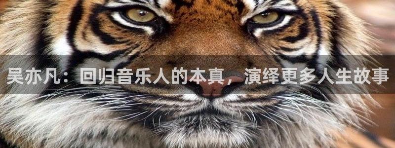 体育直播吧8：吴亦凡：回归音乐人的本真，演绎更多人生故事